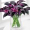 Black Calla Lily