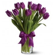 Passionate Purple Tulips