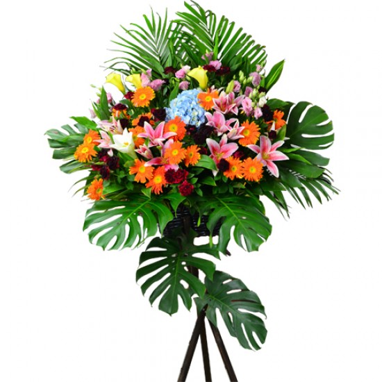 Flourishing Horizons Opening and Celebratory Arrangement