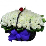 Only One Love 101 Roses Basket