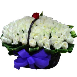 Only One Love 101 Roses Basket