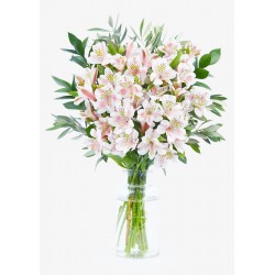 Alstroemeria Bouquet - The Isa